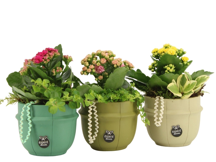 <h4>11607: Consideration arrangement</h4>