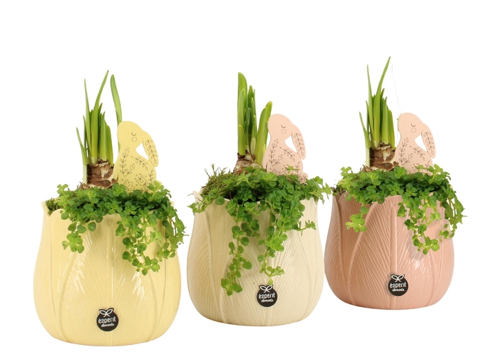 <h4>70911: Easter arrangement</h4>