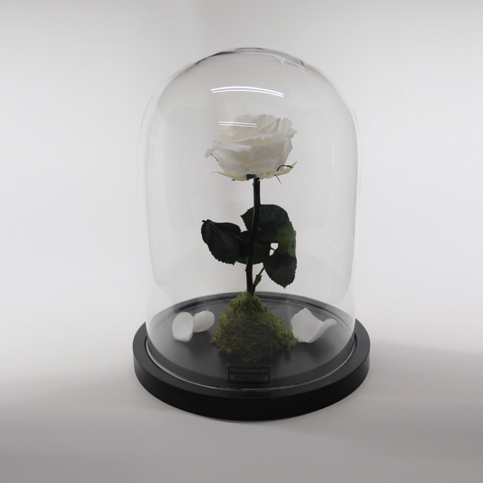 <h4>Stolp d20x28h Wit stab. glas</h4>