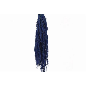 Preserved amaranthus paint blue