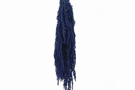 <h4>Preserved amaranthus paint blue</h4>
