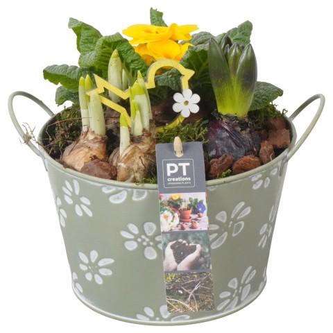 <h4>PTBM3760 Arrangement Flower Bulbs Mix in metalen pot</h4>
