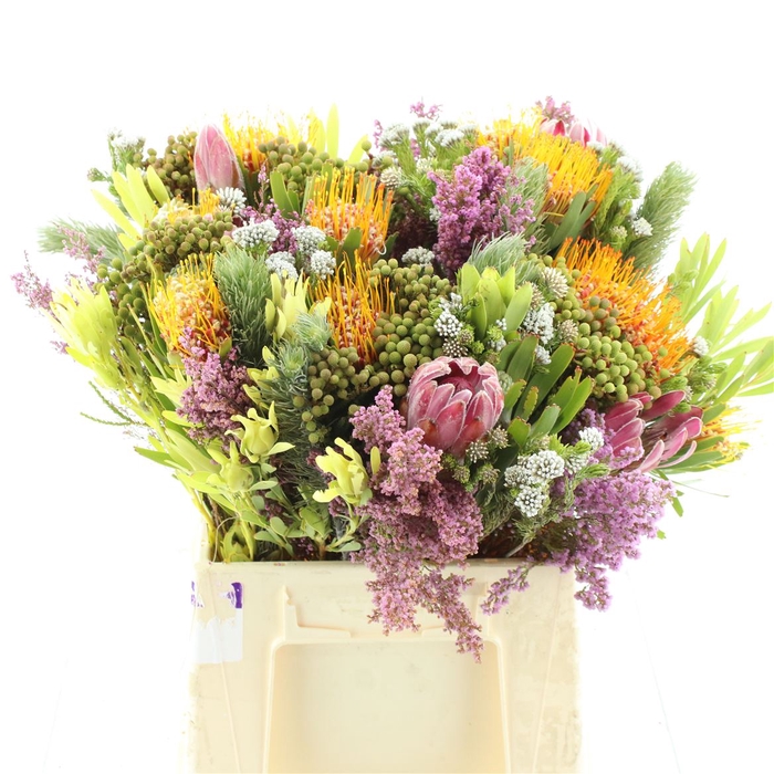 <h4>Kaaps Bouquet River Mix</h4>