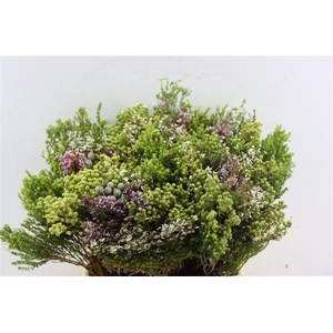 Cape Mix Bouquet