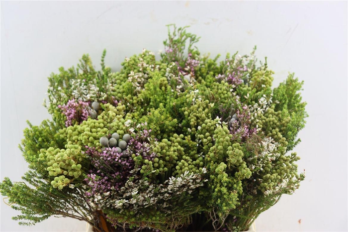 <h4>Cape Mix Bouquet</h4>