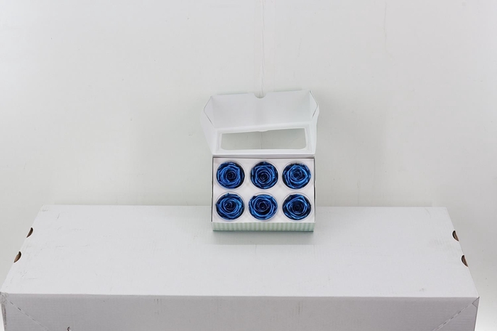 <h4>Rosa Preserved Metallic Blue</h4>