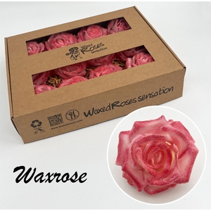 Zijde R Wx Glitter Two Tone Pink