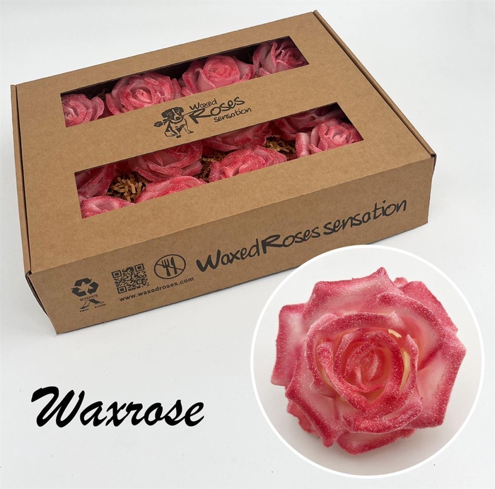 <h4>Zijde R Wx Glitter Two Tone Pink</h4>