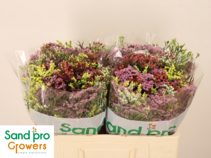 <h4>GEM ZOMERBOEKET</h4>