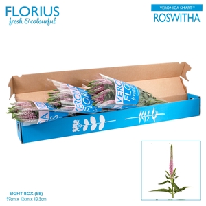 Veronica Smart Roswitha NVQ