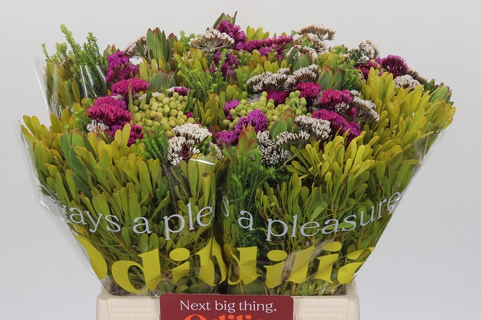 <h4>BQ Wild Flower</h4>