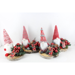 arr5 Kerst MB397 - Gnome op schijf