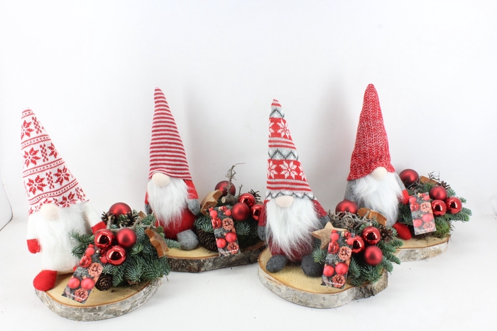arr5 Kerst MB397 - Gnome op schijf