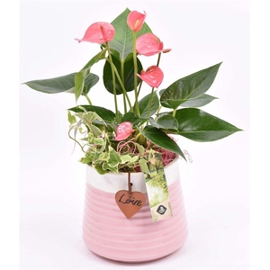 Keramiek pot roze met label 13cm