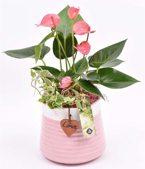 <h4>Keramiek pot roze met label 13cm</h4>
