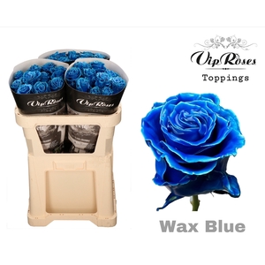 R GR WAX BLUE (60CM)