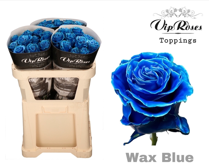 <h4>R GR WAX BLUE (60CM)</h4>