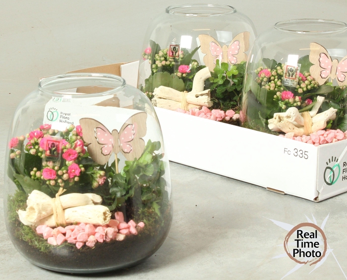 <h4>ARR KAMERPL</h4>