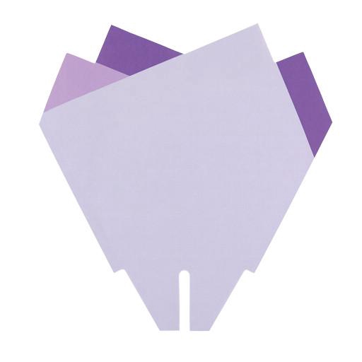 <h4>Sleeves Magnolia 33*33cm x50</h4>