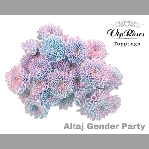 CHR T ALTAJ GENDER PARTY