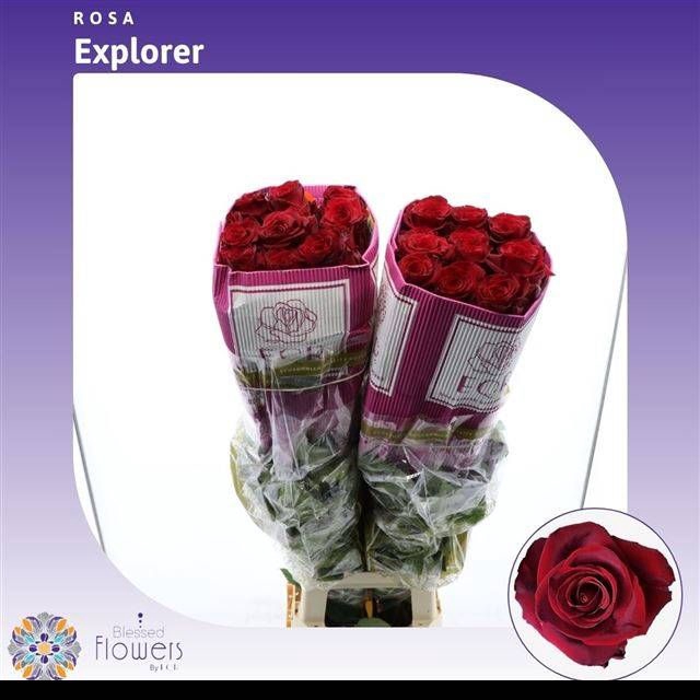 <h4>R GR EXPLORER</h4>