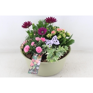 arr4 Outdoor MB - Zink bolschaal XL