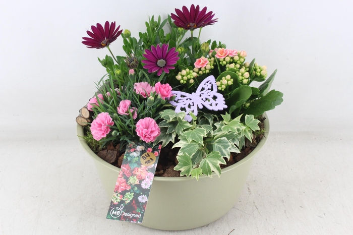 <h4>arr4 Outdoor MB - Zink bolschaal XL</h4>