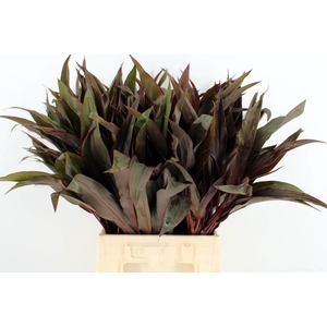 DECOGROEN GROOT BLAD