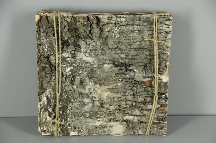 <h4>Birch Bark Pack 30x30cm(6p)Nat</h4>