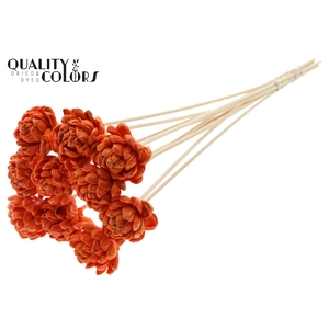 Shola New Beauty Rose 6cm on stem Wax Orange