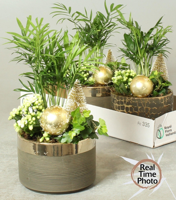 <h4>ARR KAMERPL</h4>