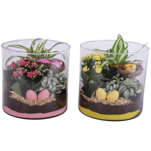 Easter Arr. Indoor Glass Vase Cylinder Ø19cm 3PP