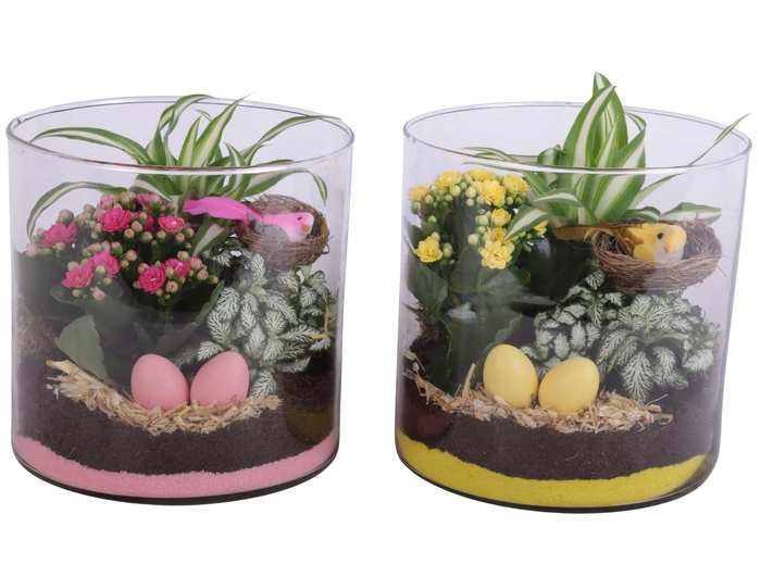 <h4>Easter Arr. Indoor Glass Vase Cylinder Ø19cm 3PP</h4>