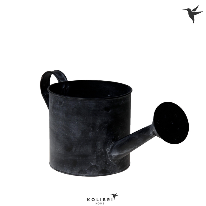 <h4>Kolibri Home Watering Can</h4>