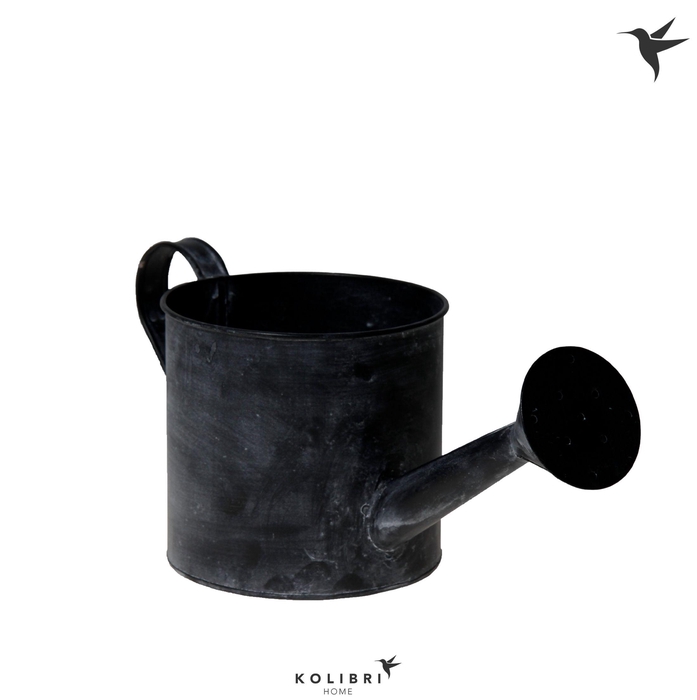<h4>Kolibri Home Watering Can</h4>