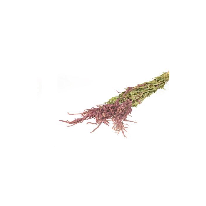 <h4>Bunch Amaranthus Slv 200g L60</h4>