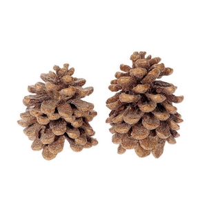 Pinecone Pinea Wax Sugared 2 Pcs Slv L19W12H14