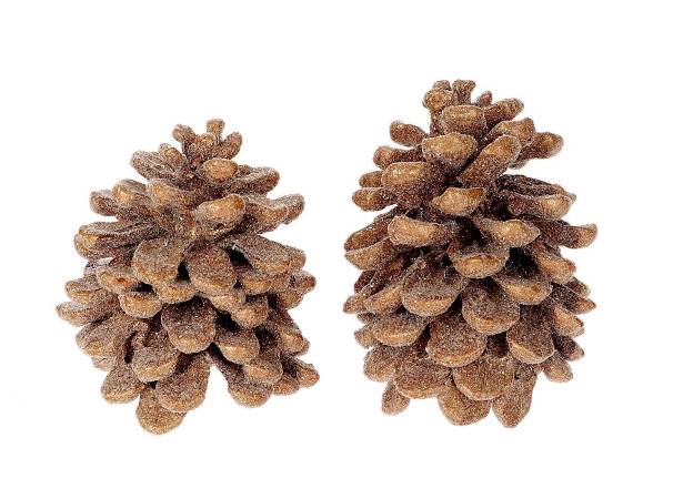 Pinecone Pinea Wax Sugared 2 Pcs Slv L19W12H14