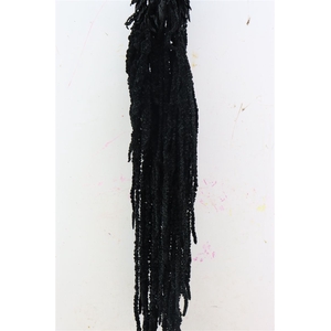 Pres Amaranthus Caud Black Bunch