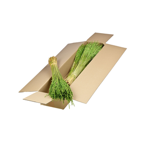 Rice Sb Green