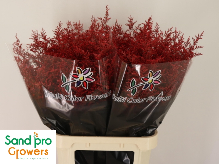 <h4>LIM OV KLB H%</h4>