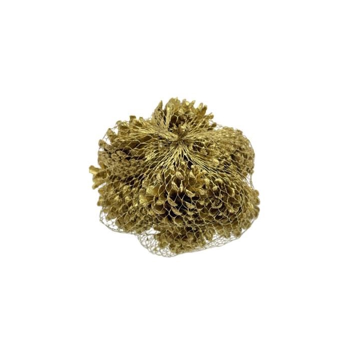 <h4>Pinecone Oostenrijker 10pcs</h4>