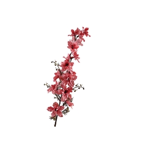 Delphinium Pink