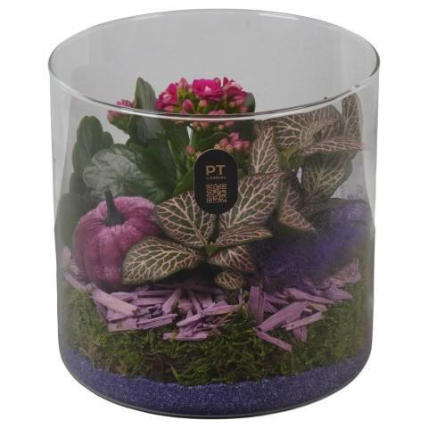 <h4>PTHG8208 Arrangement Autumn Glass in glas cylinder</h4>