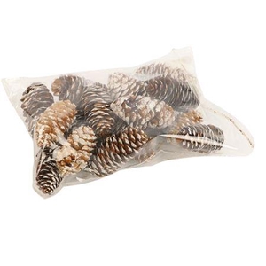 Pinecone Spruce 150g L6