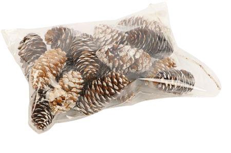 Pinecone Spruce 150g L6