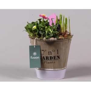 Zink emmer ovaal paars Pasen met Arrangement