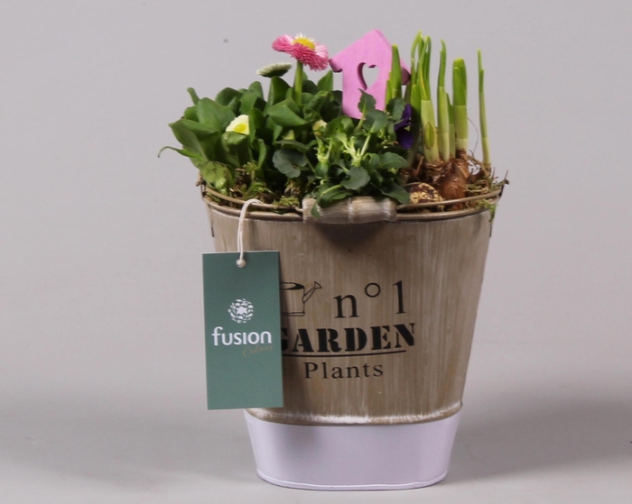 <h4>Zink emmer ovaal paars Pasen met Arrangement</h4>