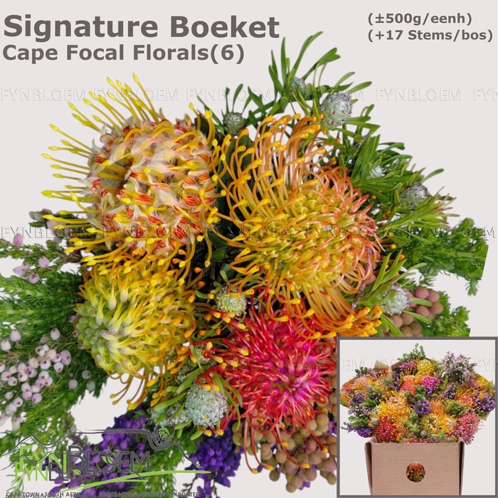 <h4>PROTEA PER BOS</h4>