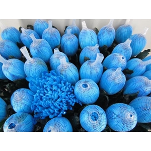 Chr G Antonov Licht Blauw